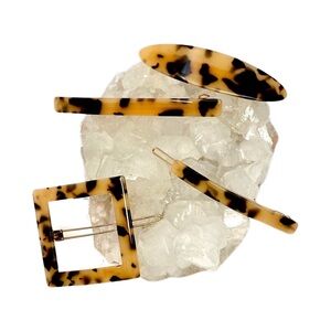Tortoise Shell Inspired Hair Clip‎ Set of 4